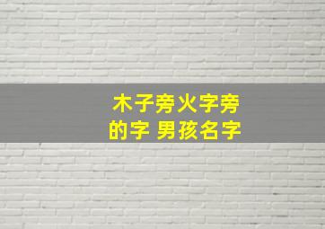 木子旁火字旁的字 男孩名字